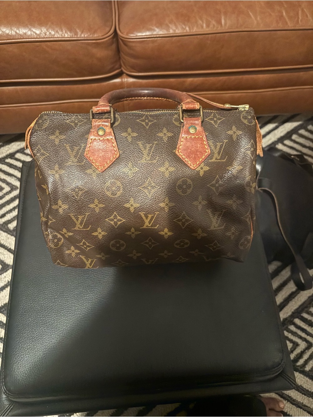 Louis Vuitton Monogram Canvas Mini Speedy in Brown and Tan